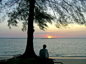 หาดในยาง_อุทยานแห่งชาติสิรินาถ_ภูเก็ต_40